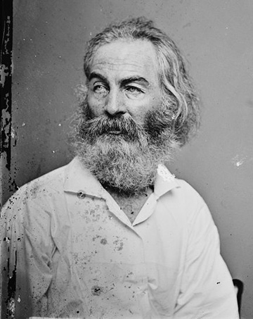 whitman