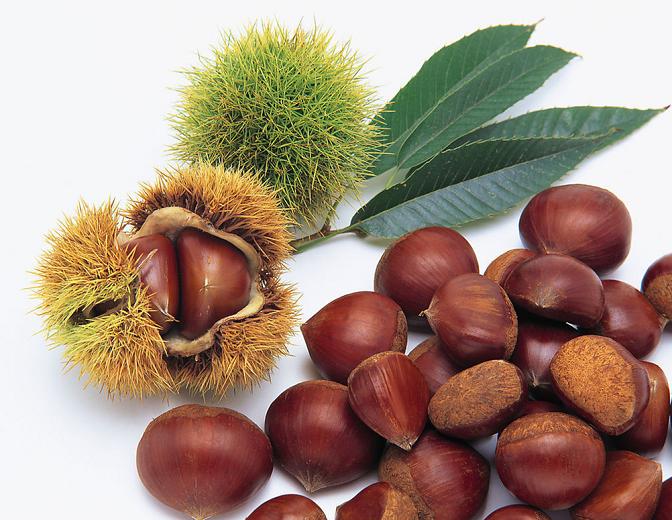 chestnuts