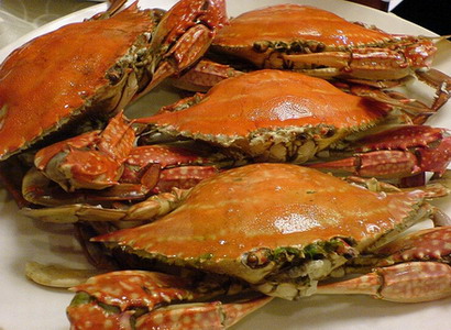 crabs