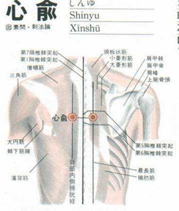 xunyu-2