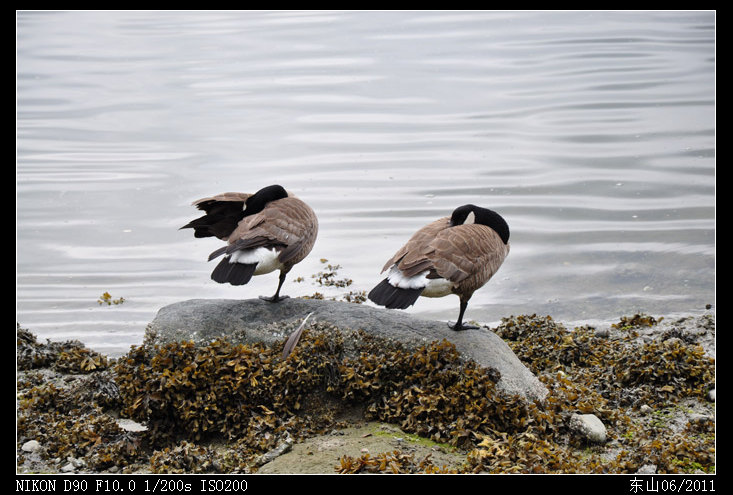 stanleypark