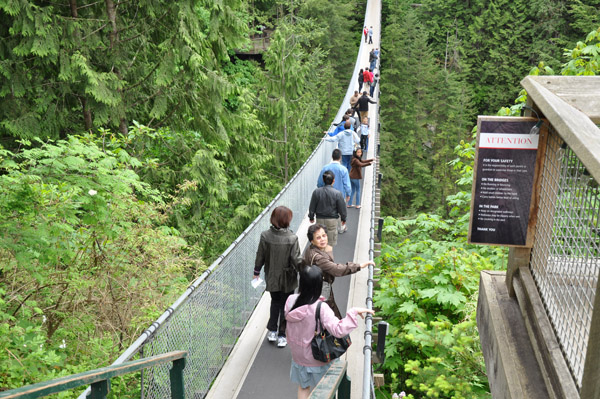 suspensionbridge